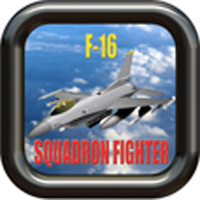 F-16 SQUADRON FIGHTER