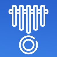 Joo Kalimba: Piano Thumb