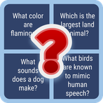 Animal Quiz