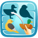 Shadow Matching Puzzles