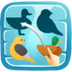 Shadow Matching Puzzles