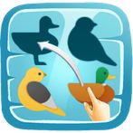 Shadow Matching Puzzles