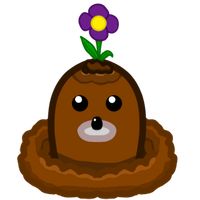 Protect the flowers