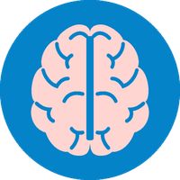 Intelligence Test
