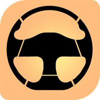 Steering Wheel for Pc 900º