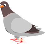 Pigeon Mission