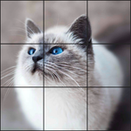 Animal Slide Puzzles