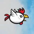 Slow Bird