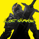 Lost Shadow: Dark Knight