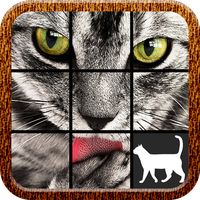 Cat Slide Puzzle
