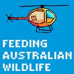 Feeding Australian Wildlife