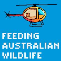 Feeding Australian Wildlife