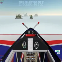 It's Easy To Fly