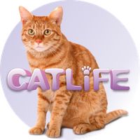 CATLIFE