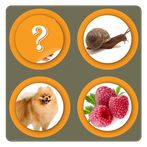 Picture Match-Memory Card Game