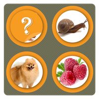 Picture Match-Memory Card Game