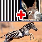 2 Pics 1 Word Quiz game