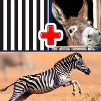 2 Pics 1 Word Quiz game