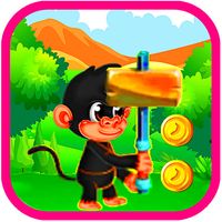 Monkey Jungle Adventure