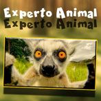 Experto Animal