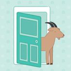 몬티홀의 딜레마