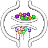 Ball and Balloon