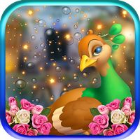 Cute Calm Peacock Escape - JRK