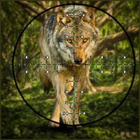 Wolf Hunting | Expert Shooting