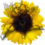 Genealogical tree 3D