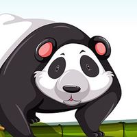 Trenko Panda Adventure Game