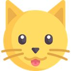 catch the cats