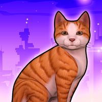 Stray Cat Survival