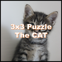 3x3 Cat Puzzle