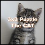 3x3 Cat Puzzle