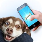 Dog Laser - Game for Dogs