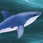 The Last Shark