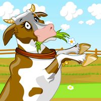 Walking Cow