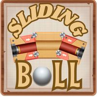 Sliding Ball Puzzle