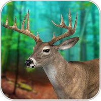 Deer Hunter Games Simulator