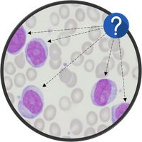 HematoQuiz Quiz de Hematología