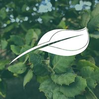 Percurso Eco-Botânico Manuel G