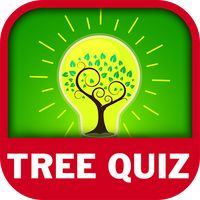 National Tree Quiz Game 2022