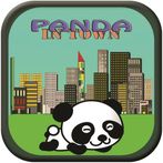 Panda in Town
