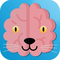 Cat Brain : Challenge Game