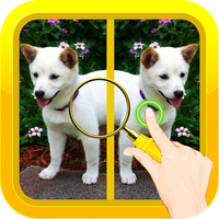 Find Spot The Difference #20