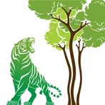 Animal confrontation game