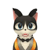 Cats Gallery