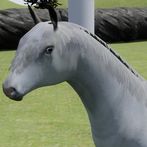 Happy Horse Simulator