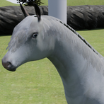 Happy Horse Simulator
