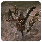 Fight Survive